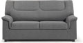 SHIITO Tribeca Sofá 2 plazas - Diseño estándar para salón con capacidad de 350 kg - Dimensiones de 140 x 90 x 98 cm - Gris con asiento profundo y estructura para dos personas